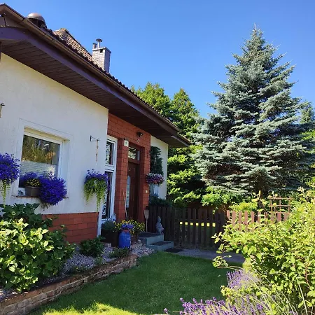 Chatka Grzybowo * غجيبوفو