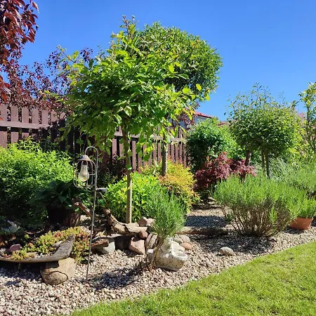 منزل للإقامة Chatka Grzybowo غجيبوفو