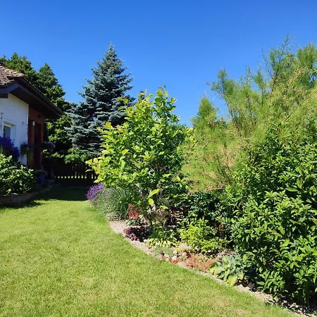 Chatka Grzybowo * غجيبوفو