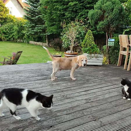 Chatka Grzybowo منزل للإقامة غجيبوفو