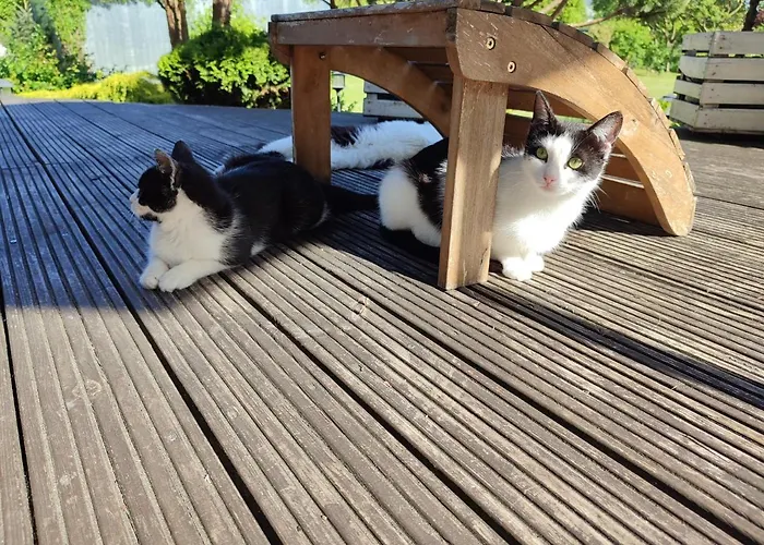 منزل للإقامة Chatka Grzybowo *