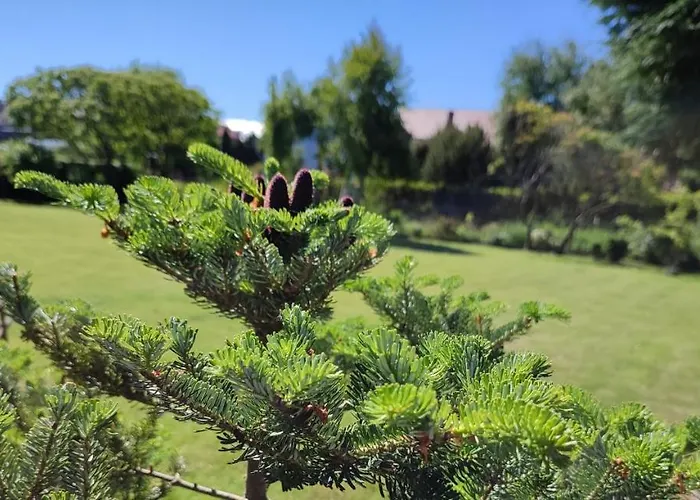 Chatka Grzybowo منزل للإقامة