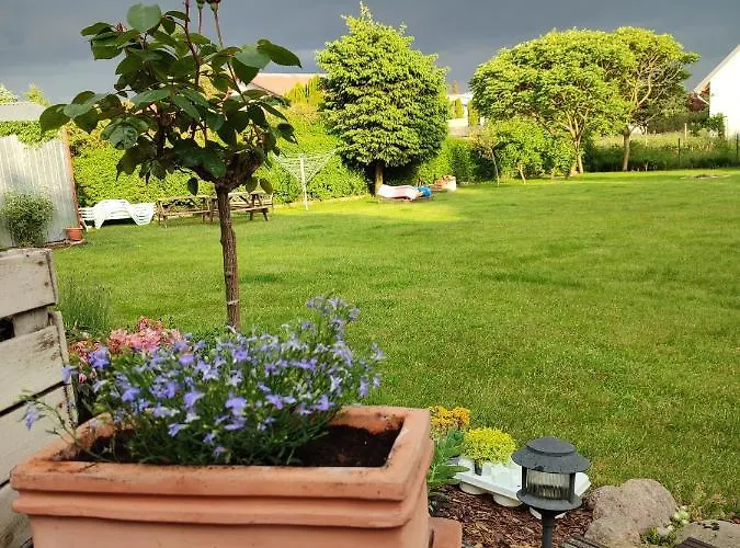 Chatka Grzybowo غجيبوفو