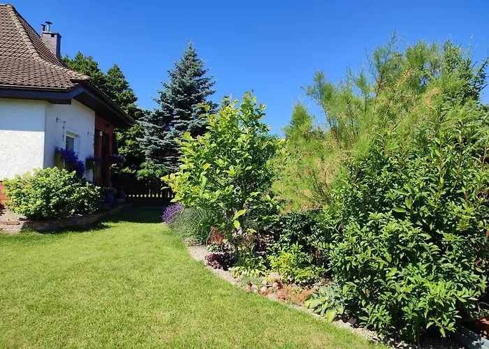 Chatka Grzybowo * غجيبوفو